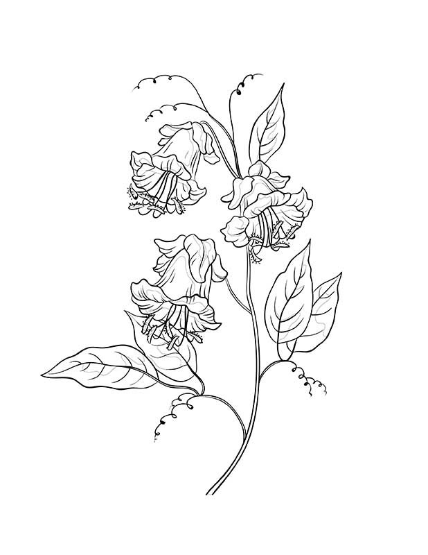 x rated coloring pages - photo #20